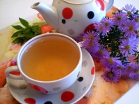 Шиповниковый чай с мятой и калиной