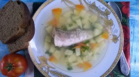 Рыбный суп из нототении